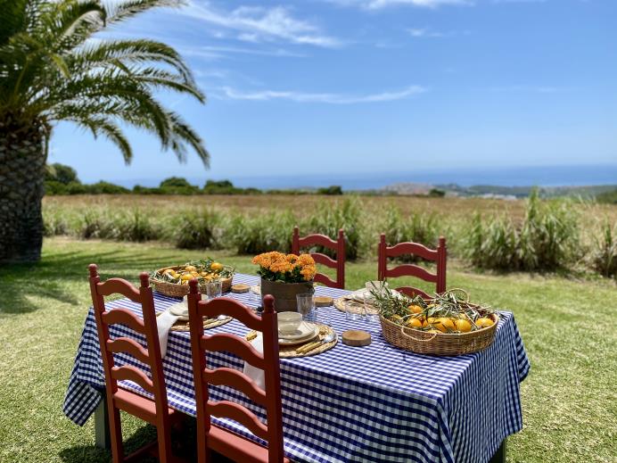 Mesa en el jardín